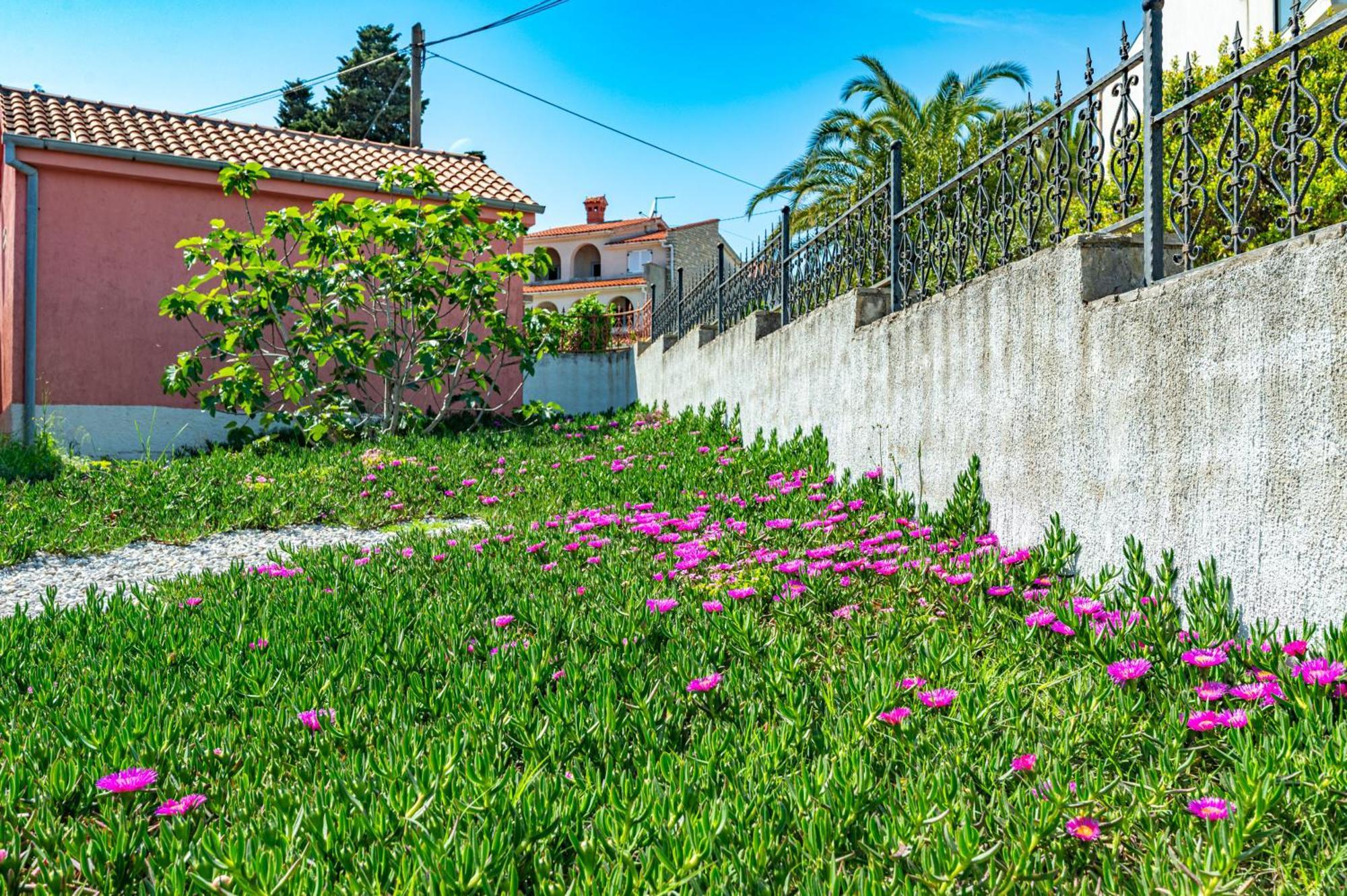 Villa Valentina Premantura Extérieur photo